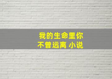 我的生命里你不曾远离 小说